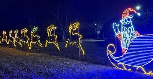 An image of Santa's Sleigh being pulled by reindeer at Kiwanis night.