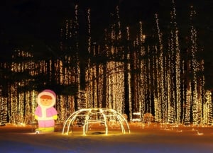 An image of some of the lights at the drive through.