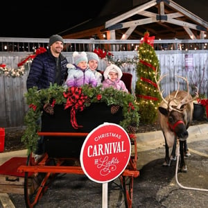 photos with reindeer at the grand opening event of Christmas Carnival of Lights photos with reindeer at the grand opening event of Christmas Carnival of Lights