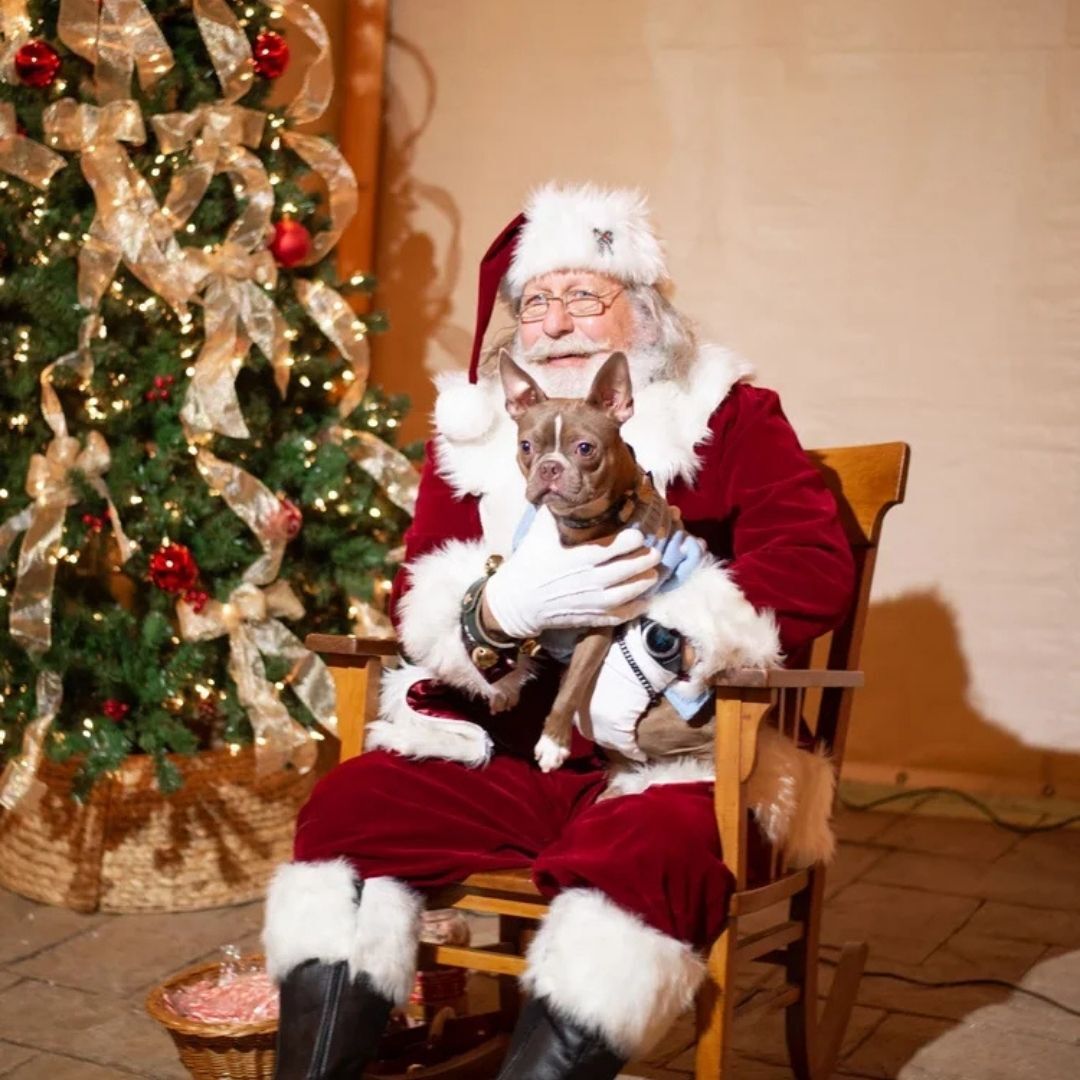The banner for Pet Night at the Christmas Carnival of Lights.