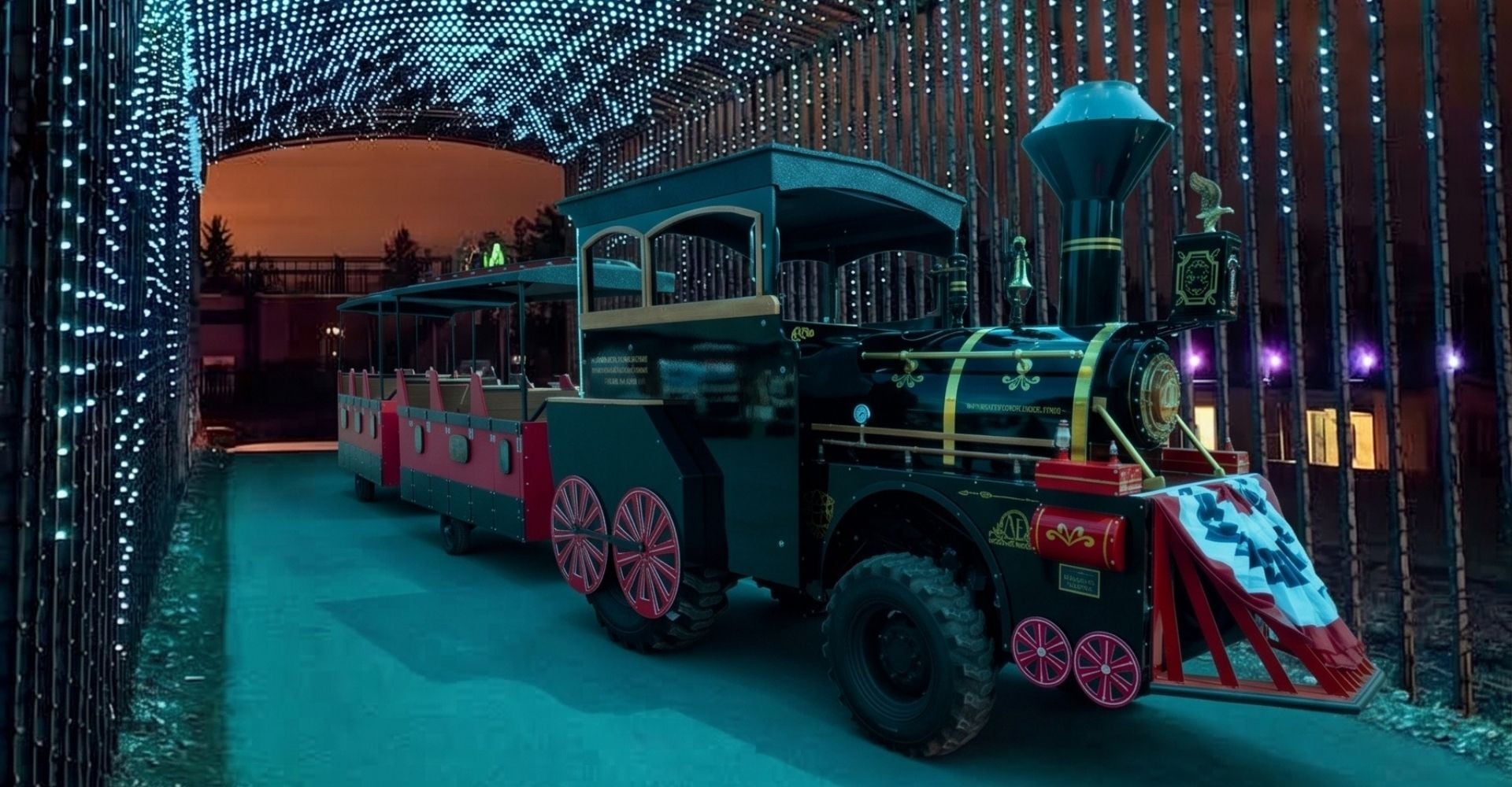 An image of the Holiday Train going through the light tunnels. An image of the Holiday Train going through the light tunnels.